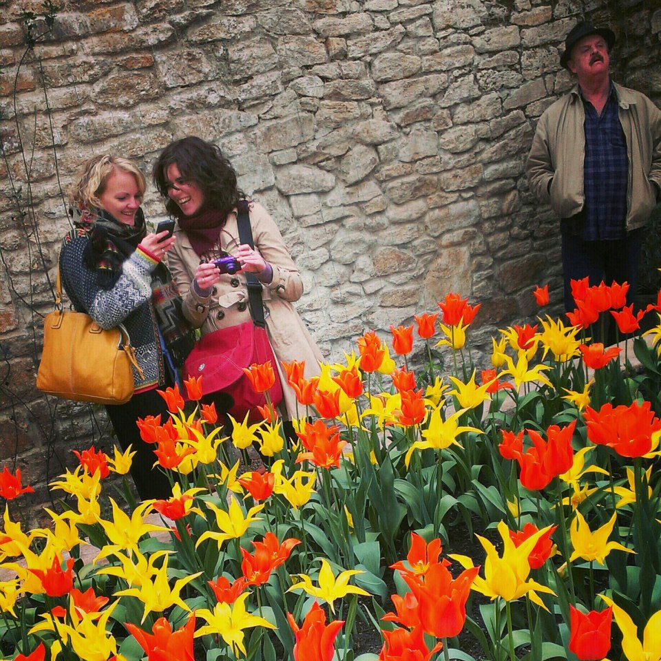 In Praise of Elephants — UK tour