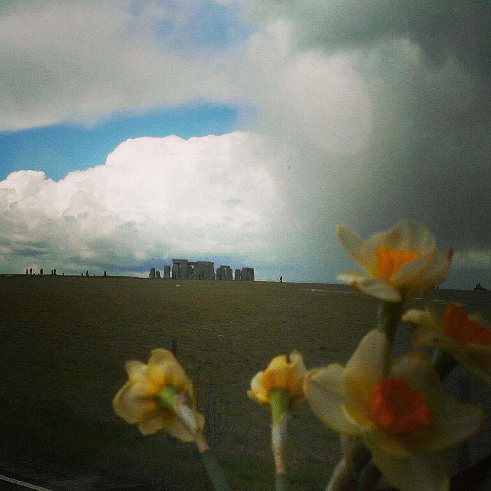 In Praise of Elephants — UK tour