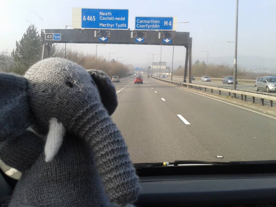 In Praise of Elephants