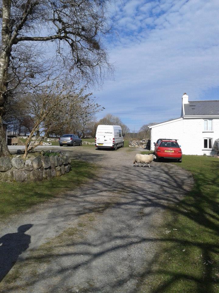 In Praise of Elephants