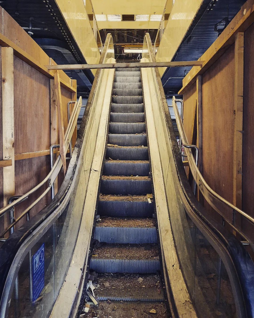 SPACE Programme 2023 — following the light