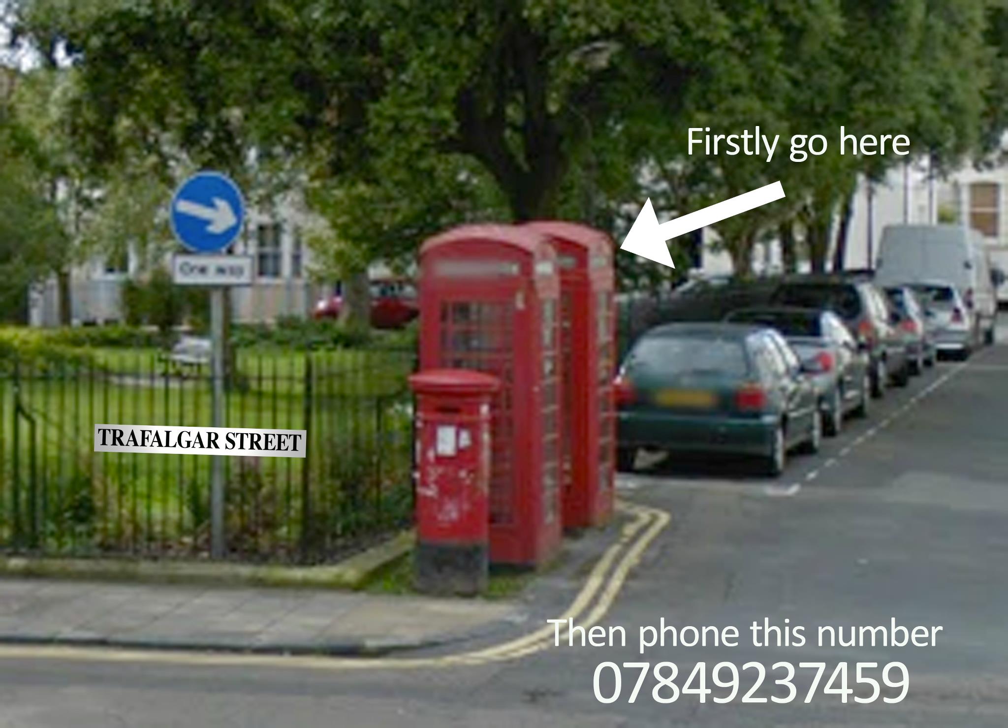 TreasureTracks — Brighton